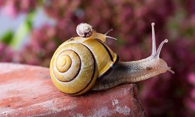 属鸡金牛座2022年运势