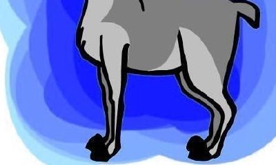 白羊女旺夫必杀技