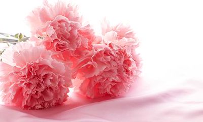 属牛人2022年9月运势