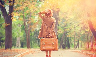 宋韶光属牛的人2022年运程