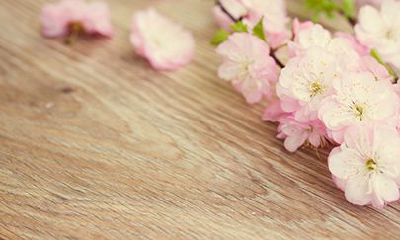 1985年属牛的人2022年运程