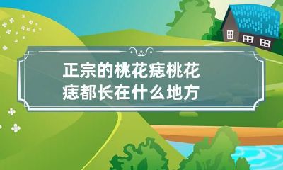 正宗的桃花痣 桃花痣都长在什么地方?