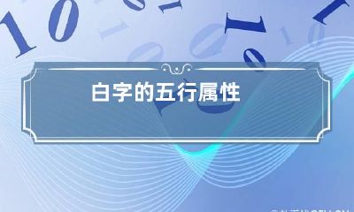 白字的五行属性