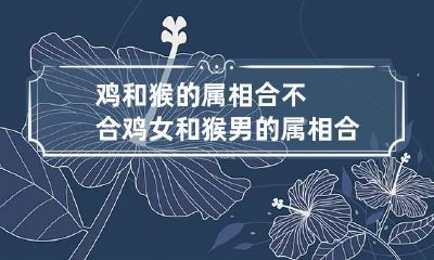 鸡和猴的属相合不合 鸡女和猴男的属相合不合
