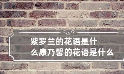 紫罗兰的花语是什么 康乃馨的花语是什么意思