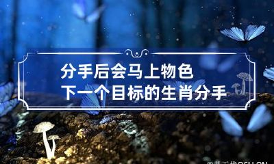 分手后会马上物色下一个目标的生肖 分手后立马有对象叫什么