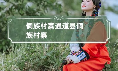 侗族村寨 通道县侗族村寨