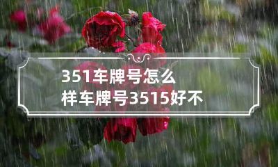 351车牌号怎么样 车牌号3515好不好