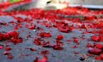 梦见放鞭炮没声响