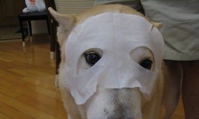 梦到自己敷面膜