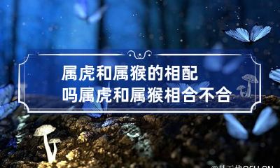 属虎和属猴的相配吗 属虎和属猴相合不合
