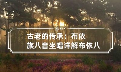 古老的传承:布依族八音坐唱详解 布依八音乐器