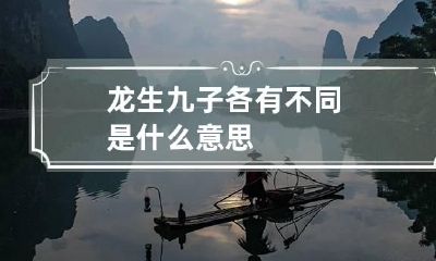 龙生九子各有不同是什么意思