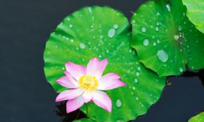 2020年夏至6月21日可以乔迁新家吗?搬新家有什么讲究?