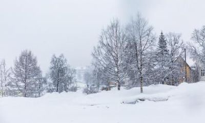 2019年小雪11月22日天气冷吗,小雪节气下雪预示着什么?