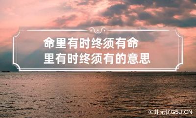命里有时终须有 命里有时终须有的意思