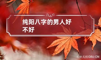 纯阳八字的男人好不好
