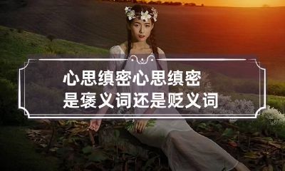 心思缜密 心思缜密是褒义词还是贬义词