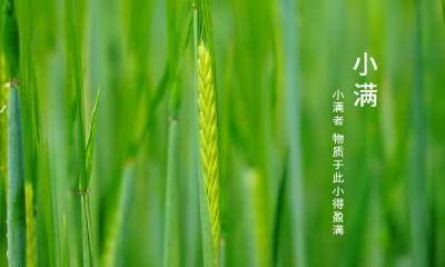 小满出生的属羊人命运如何,是什么命格?