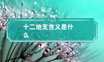 十二地支含义是什么