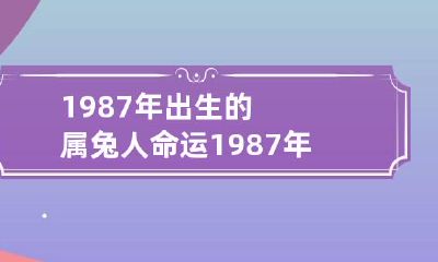 1987年出生的属兔人命运 1987年出生属兔人一生的命运
