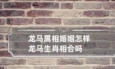 龙马属相婚姻怎样 龙马生肖相合吗