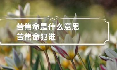 苦焦命是什么意思 苦焦命犯谁