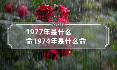 1977年是什么命 1974年是什么命