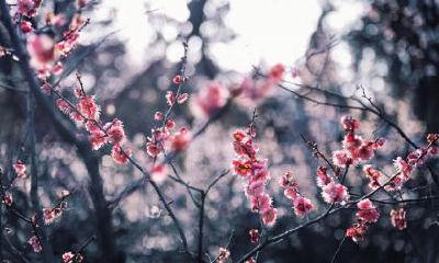 2019年小雪日子好不好?2019年小雪是黄道吉日吗?