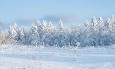 2019年冬天是超级寒冬吗,为什么最冷的天在冬至以后?