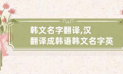 韩文名字翻译,汉翻译成韩语 韩文名字英译