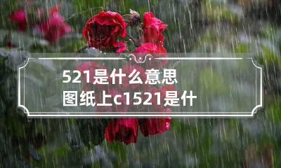 521是什么意思 图纸上c1521是什么意思