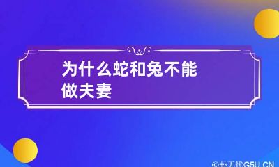 为什么蛇和兔不能做夫妻