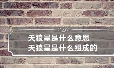 天狼星是什么意思 天狼星是什么组成的