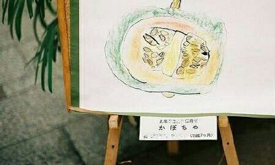 姓微生女孩名字属猪2019好听的