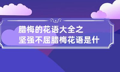 腊梅的花语大全之坚强不屈 腊梅花语是什么意思 寓意