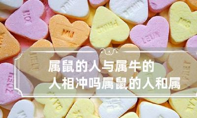 属鼠的人与属牛的人相冲吗 属鼠的人和属牛的人合不合