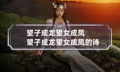 望子成龙望女成凤 望子成龙望女成凤的诗句