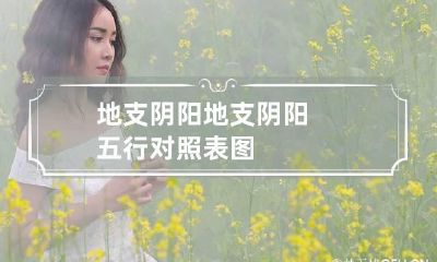 地支阴阳 地支阴阳五行对照表图