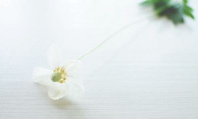 姓公西女孩名字属猪2019好听的