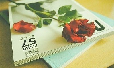 姓公冶女孩名字属猪2019好听的
