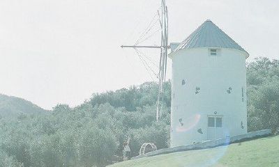 姓浦女孩名字属猪2019好听的