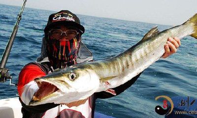 梦到自己钓上一条大魚