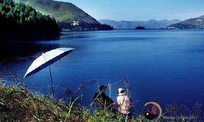 梦到钓了一条大魚