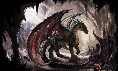 梦到有羽翼的炎龙