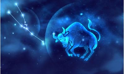 金牛座与天秤座配对