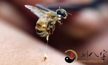 梦见被蜜峰蜇伤脸