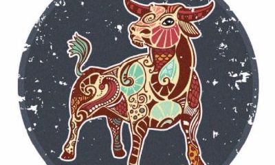 与金牛座男生异地恋该注意哪些?