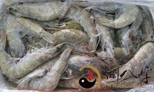 梦到捞到许多 虾