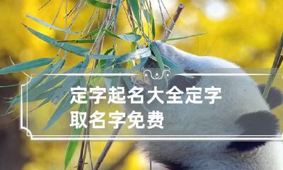 定字起名大全 定字取名字 免费